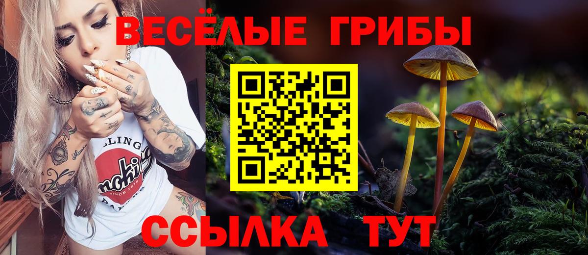 Галлюциногенные грибы мицелий  Галлюциногенные грибы MAGIC MUSHROOMS  Обнинск  Вход с VPN 